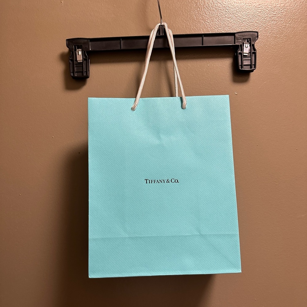 Medium size Tiffany and co gift bag